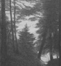 Trees-Above-the-Water-thumbnail