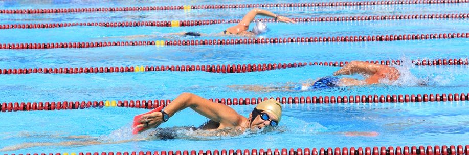 1_swim_3819_banner