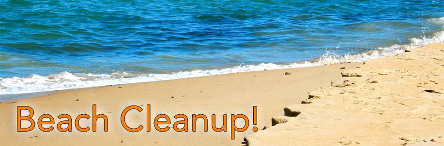 beach-cleanup