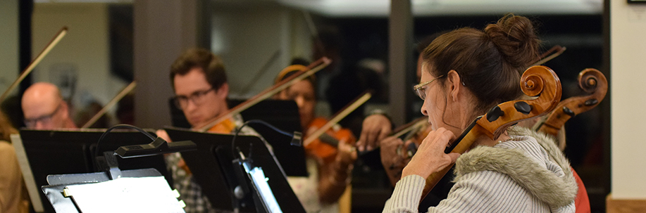 Photo of a string orchestra performing on stage.