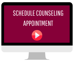 Counseling Appt Video Icon