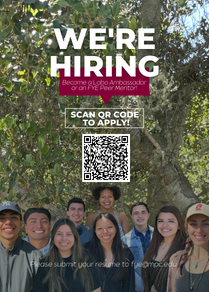 290x292 px Peer Mentor and Lobo Ambassador Hiring Flyer front