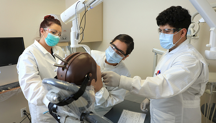 Students work on dental dummy in exam room