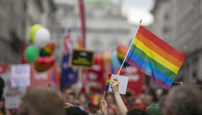 Person Holding up Pride Flag