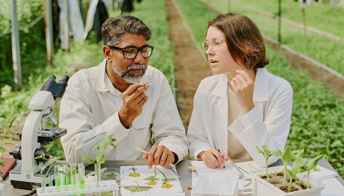 Two Environmental Scientists Studying Plants Outdoors