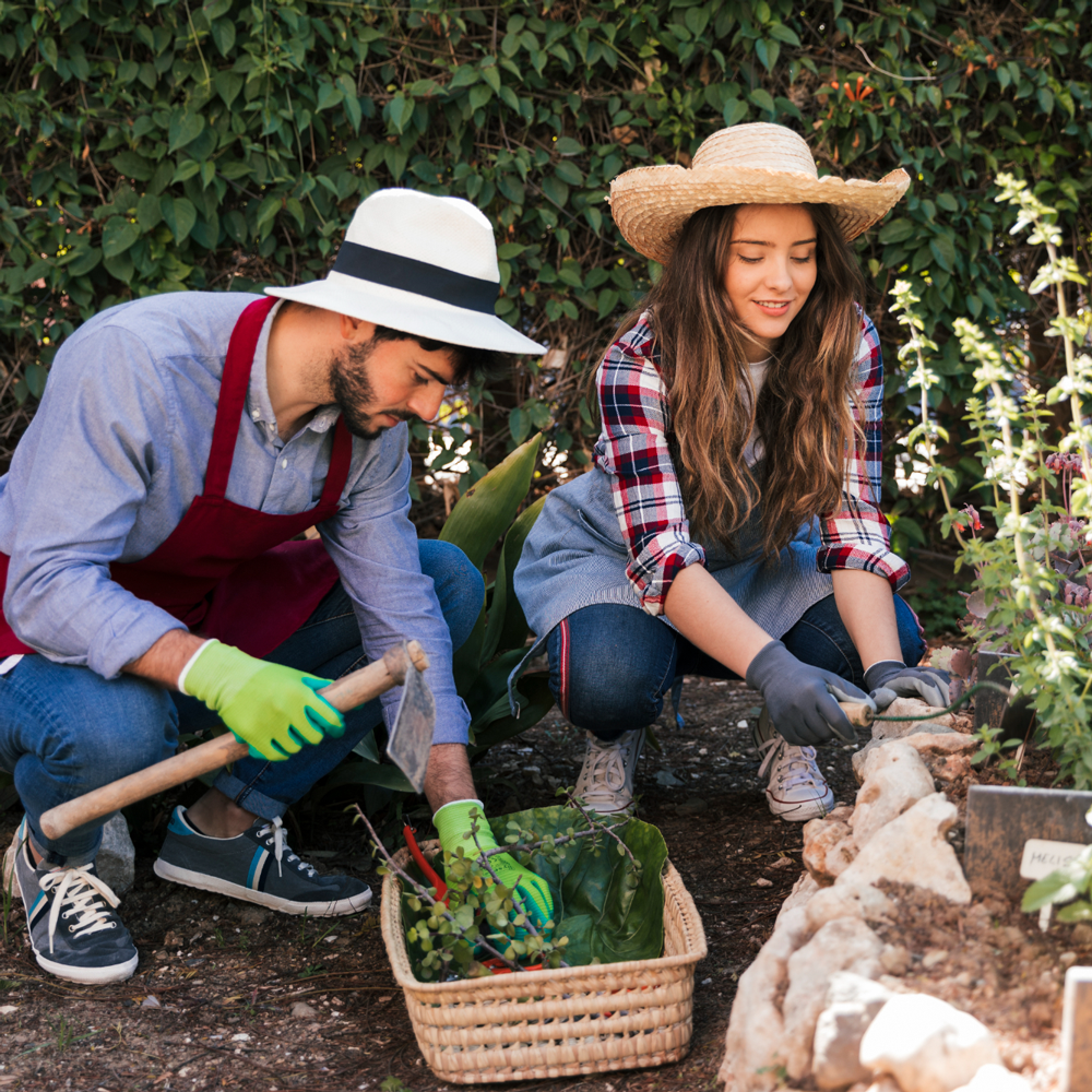 2 people gardening