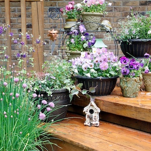 autumn container gardening examples