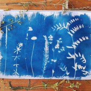 cyanotype portrait