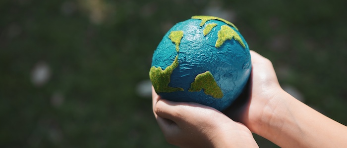 Person's Hands Holding Up Small Globe