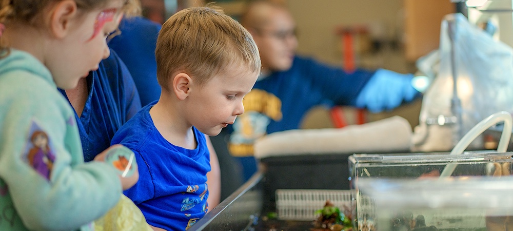 Child Looking at Touch Tank Aquarium