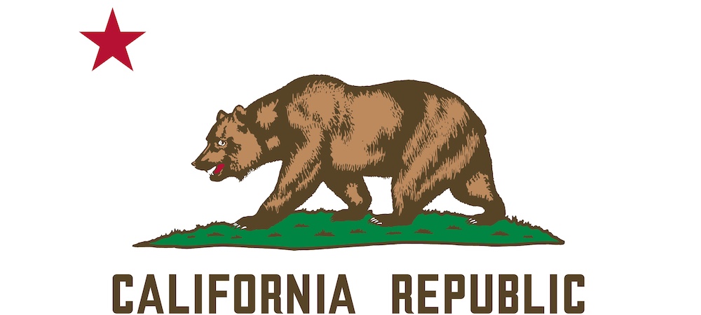 California Bear Next to Text Saying Vote California