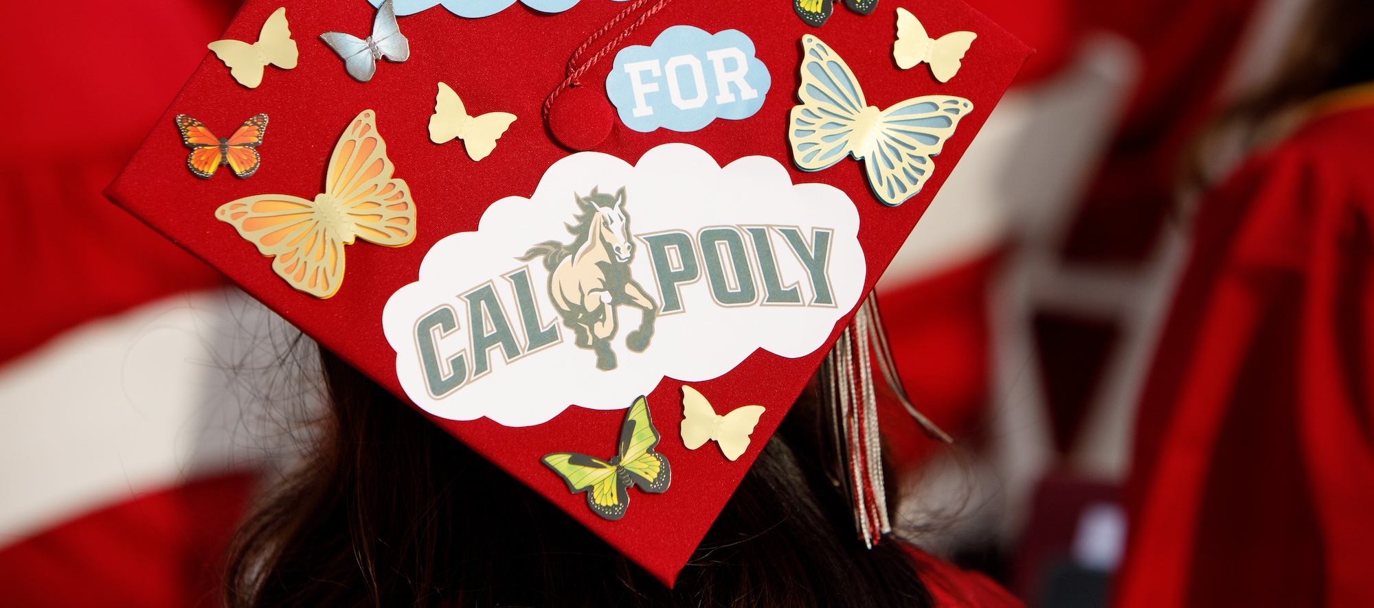 Back of Student Wearing Graduation Cap Decorated to say Psyched for Cal Poly