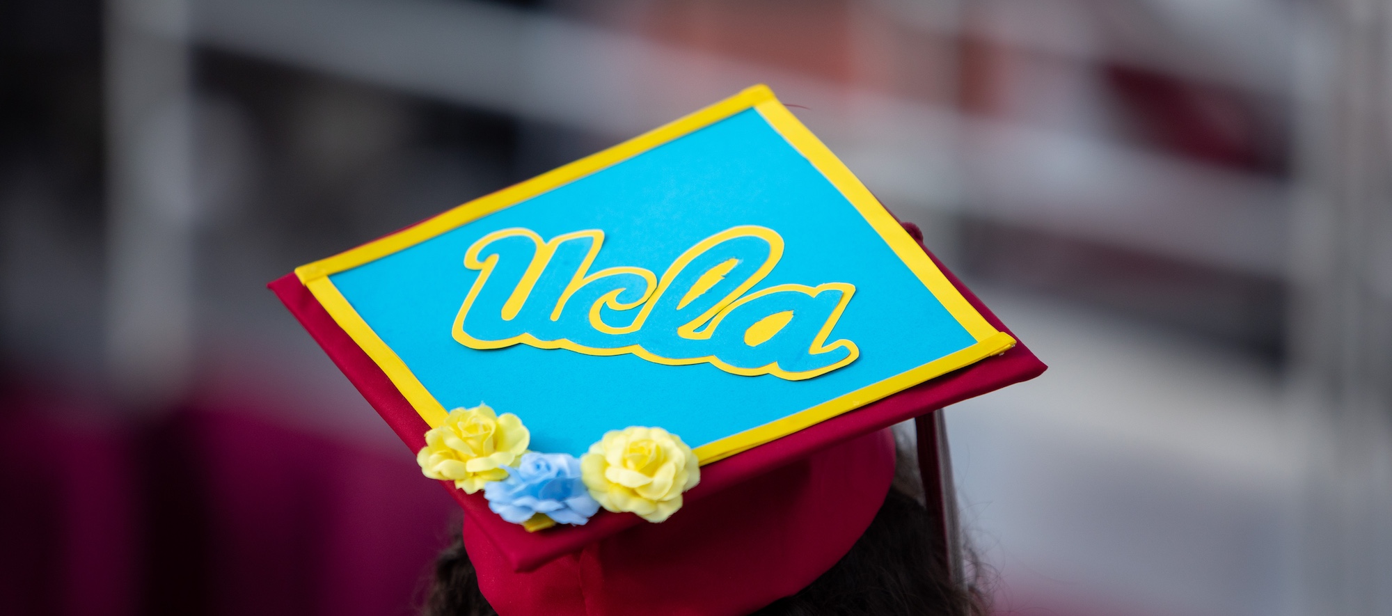 Back of Student Wearing Graduation Cap Decorated to say UCLA